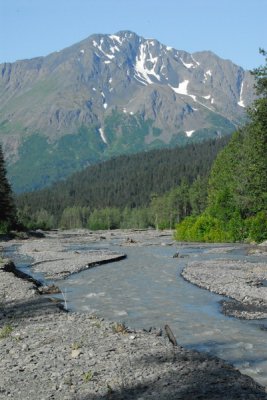 DSC_7251_resize.JPG