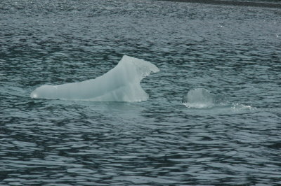 DSC_5171_resize.JPG