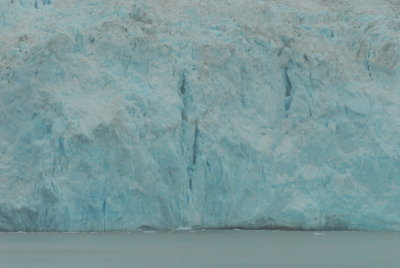 DSC_7625_resize.JPG