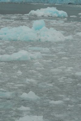 DSC_7654_resize.JPG