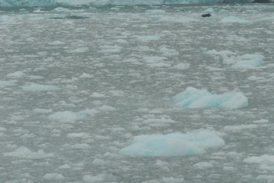 DSC_7657_resize.JPG