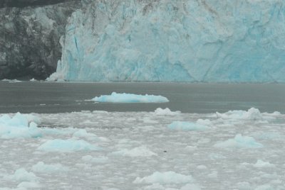 DSC_7658_resize.JPG