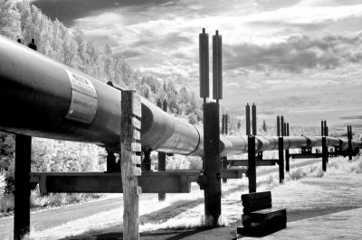 alaska_ir_piictures