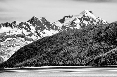 DSC_2135_resize.JPG