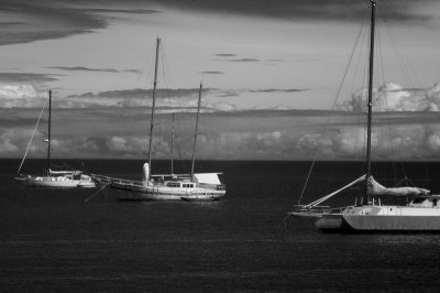 DSC_2294_resize.JPG