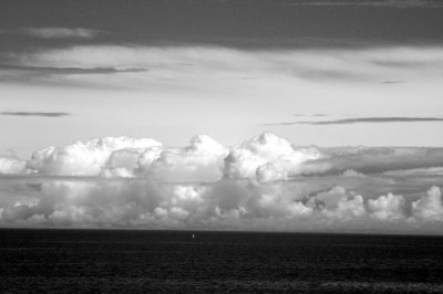 DSC_2314_resize.JPG