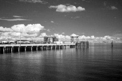 DSC_2363_resize.JPG