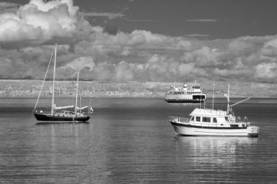 DSC_2396_resize.JPG
