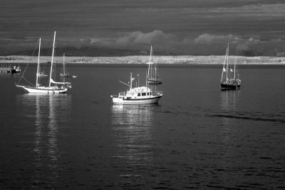 DSC_2429_resize.JPG