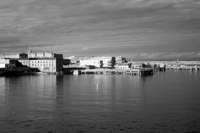 DSC_2430_resize.JPG