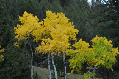 DSC_8627_resize.JPG