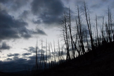DSC_8652_resize.JPG