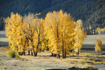 DSC_8687_resize.JPG