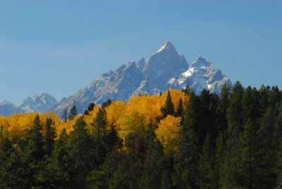 DSC_8740a_resize.jpg
