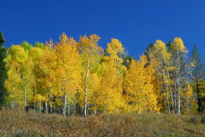 DSC_8820_resize.JPG