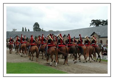 Parade au haras