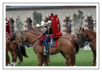 Parade au haras