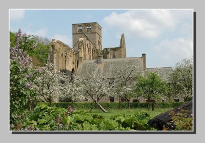 The abbey of Hambye (Normandy)