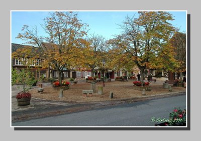 The Market place