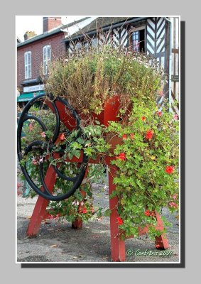 Apple crusher