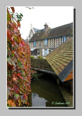 Autumn-leaves on the wash-house