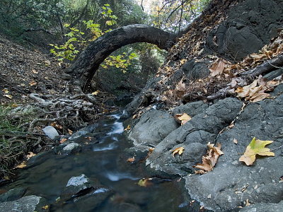 Wildwood creek