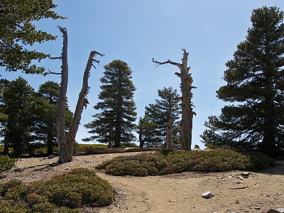 Cucamonga Peak