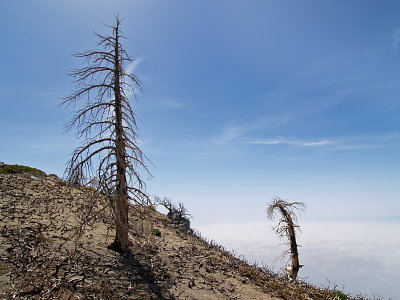 Cucamonga Peak (May 2007)