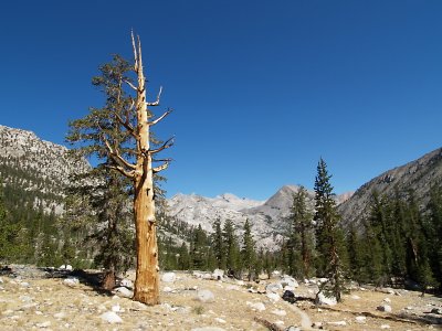 Below Dollar Lake