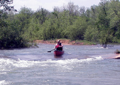 Boyscout on Big Creek.JPG