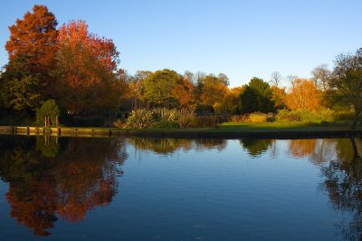 Autumn Riverbank
