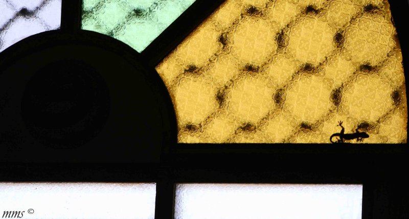 _MG_0008.jpg