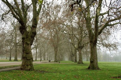 Lndn12_06_6.jpg