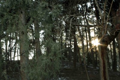 Tehran_2612_6.jpg