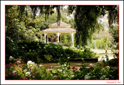 Arboretum Park Photoshoot