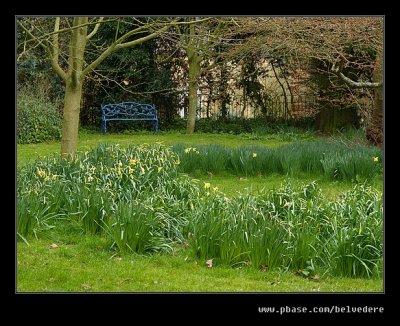 Daffodil Bench, Hidcote Manor