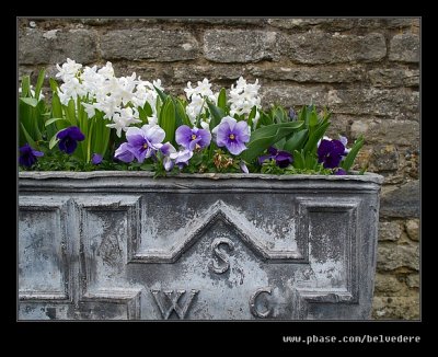 Flower Display, Snowshill Manor