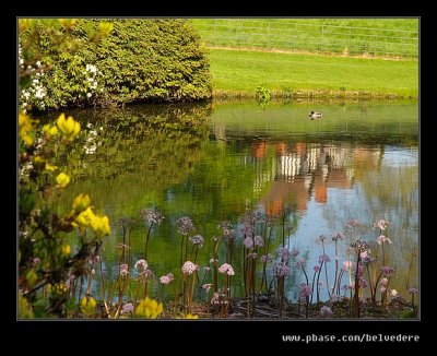 Wightwick Manor #16