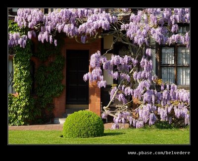 Wightwick Manor #19