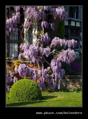 Wightwick Manor #22