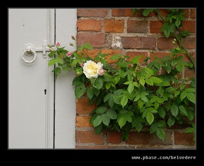 Croft Castle Walled Gardens #04