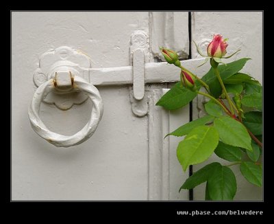 Croft Castle Walled Gardens #06