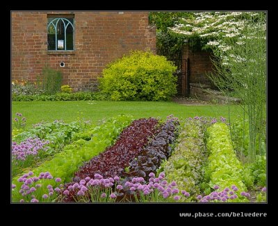 Croft Castle Walled Gardens #11
