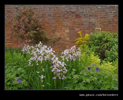 Croft Castle Walled Gardens #14