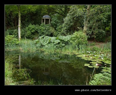Lily Pond Reflections, Portmeirion 2007
