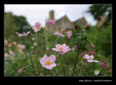 The Old Garden #3, Hidcote Manor