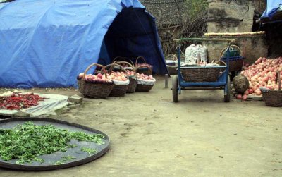 Apple and Vegetables -Peasant Village