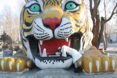 Janet and Tiger (Janet in White Coat) - Harbin Tiger Preserve