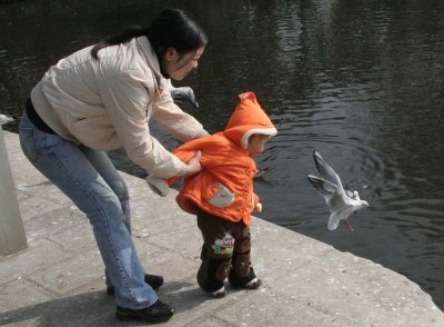 Feeding the Gulls- Kunming