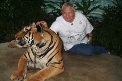 Sits  with Tigers